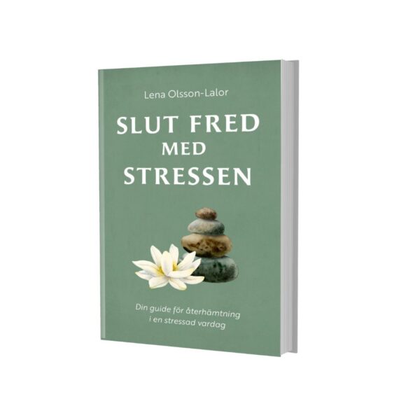 Slut Fred med Stressen: Din guide för återhämtning i en stressad vardag - inbunden bok