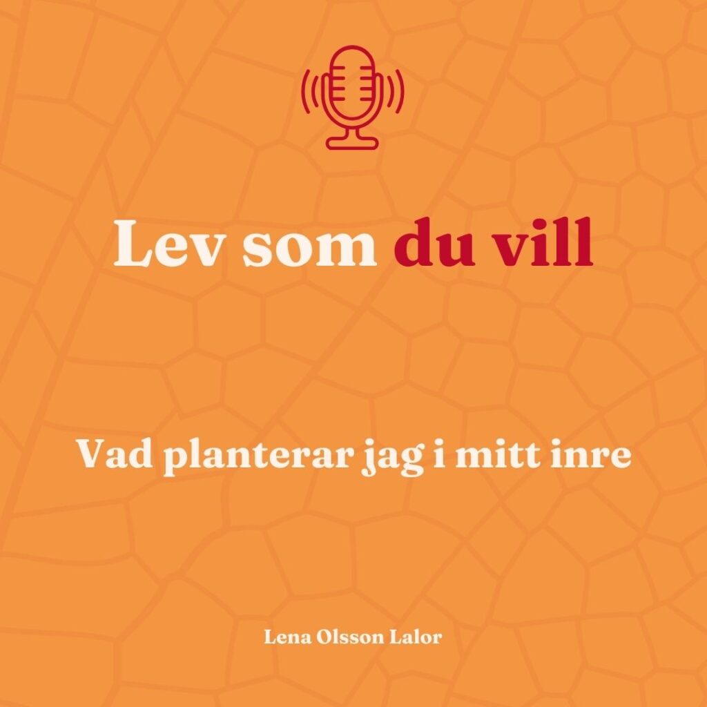 Dag 12 i serien Lev som du vill – Vad planterar jag i mitt inre