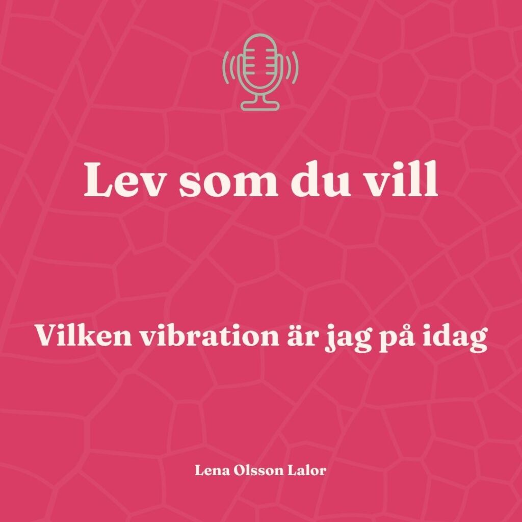 Dag 13 i serien Lev som du vill – Vilken vibration är jag på idag
