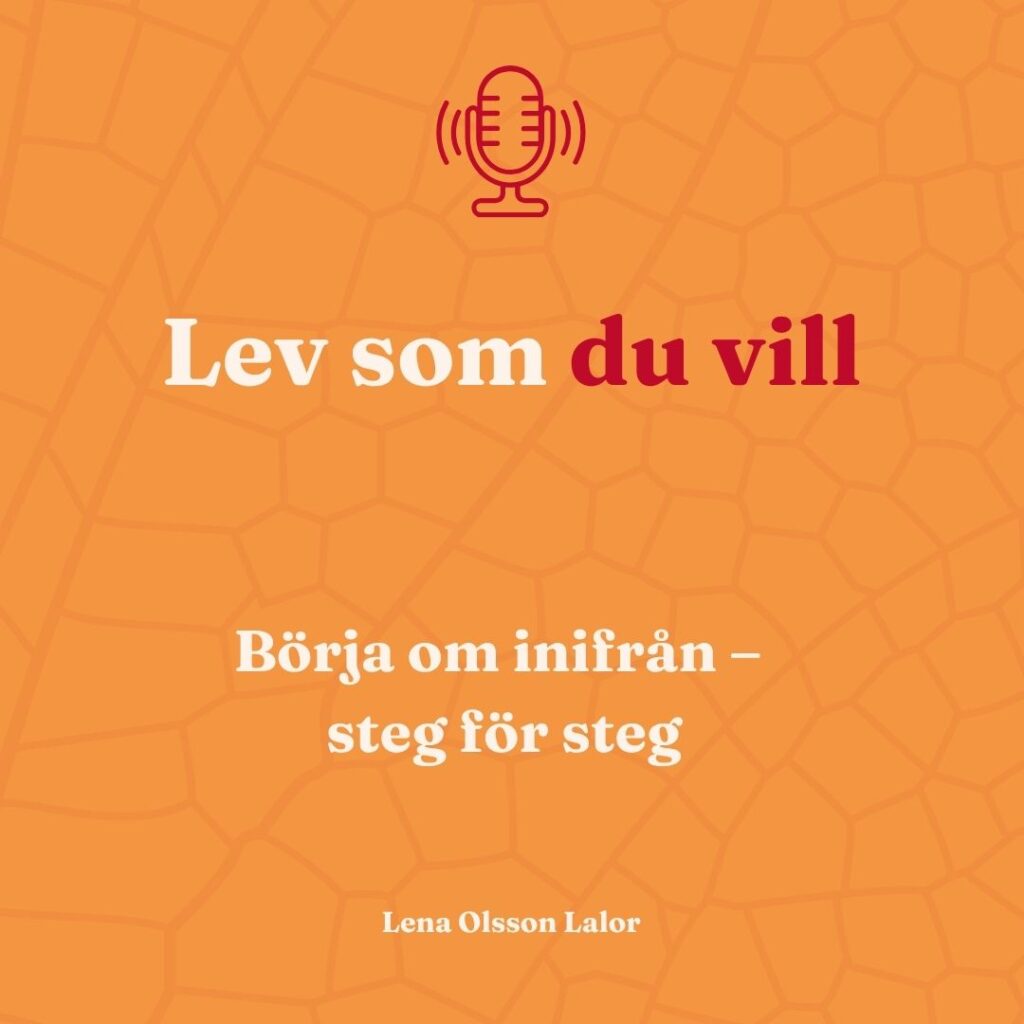 Dag 14 i serien Lev som du vill – Börja om inifrån - steg för steg