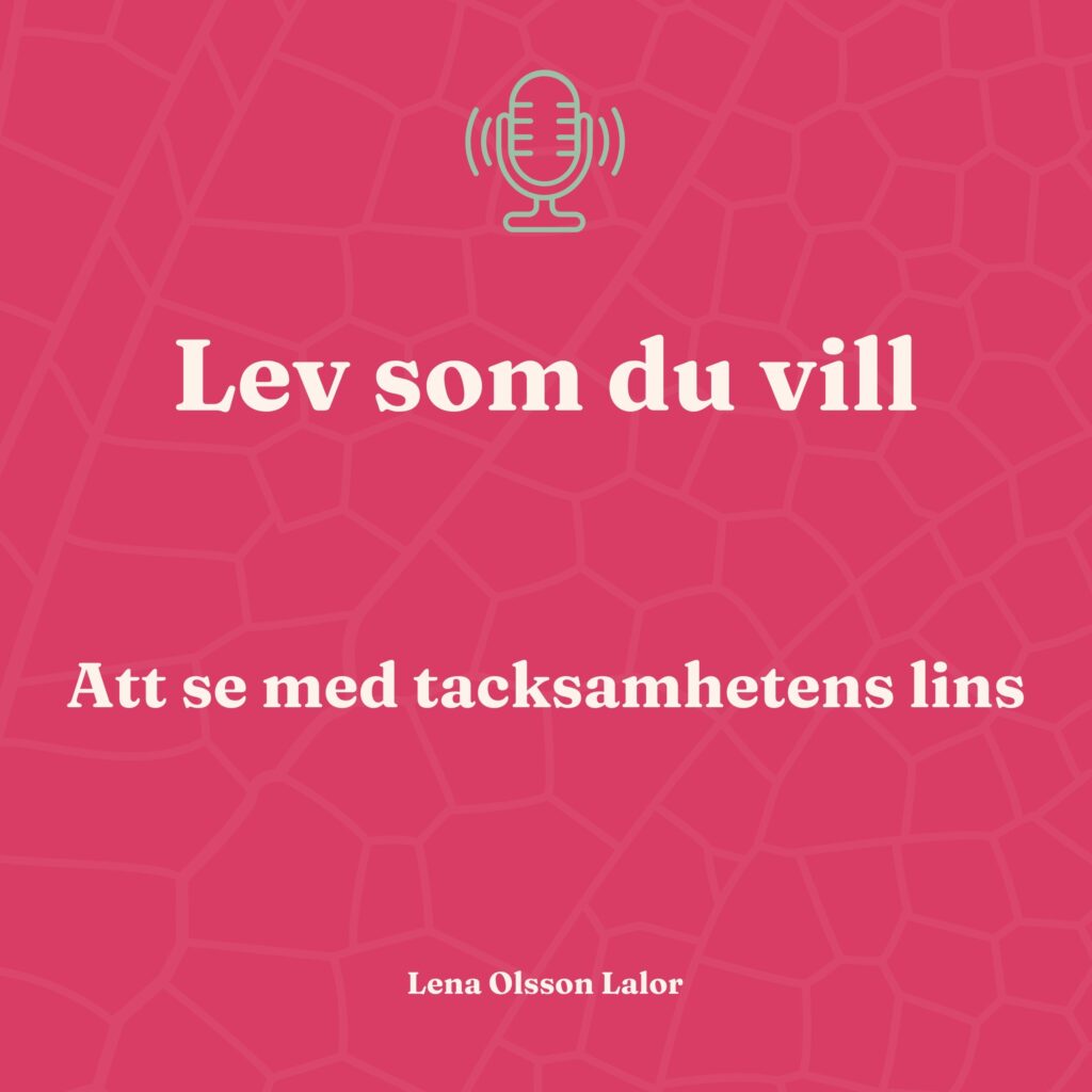 Podden har en inbjudan om att stanna upp och låta tacksamheten få ta plats.